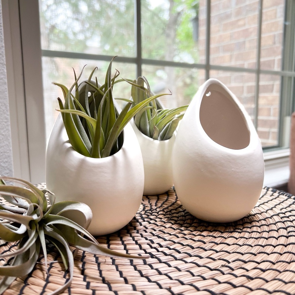 Elegant White Ceramic Vases